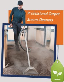 Reliable Carpet Cleaners